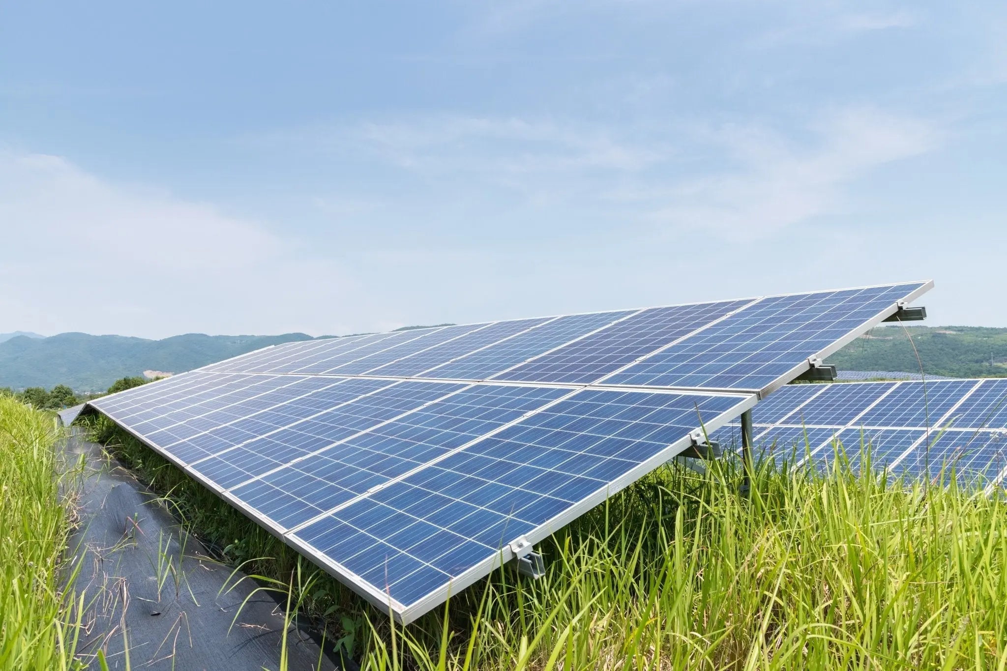 CarbonFree Shipping & Operations 2022 Cognitive Surplus