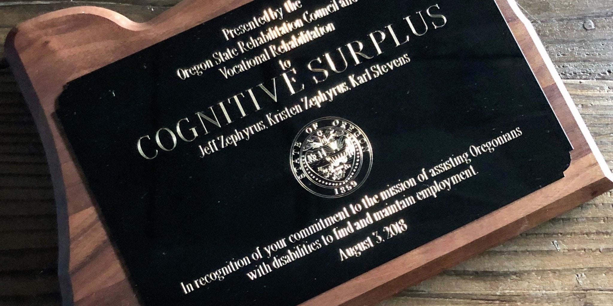 Employment Partner Award Cognitive Surplus