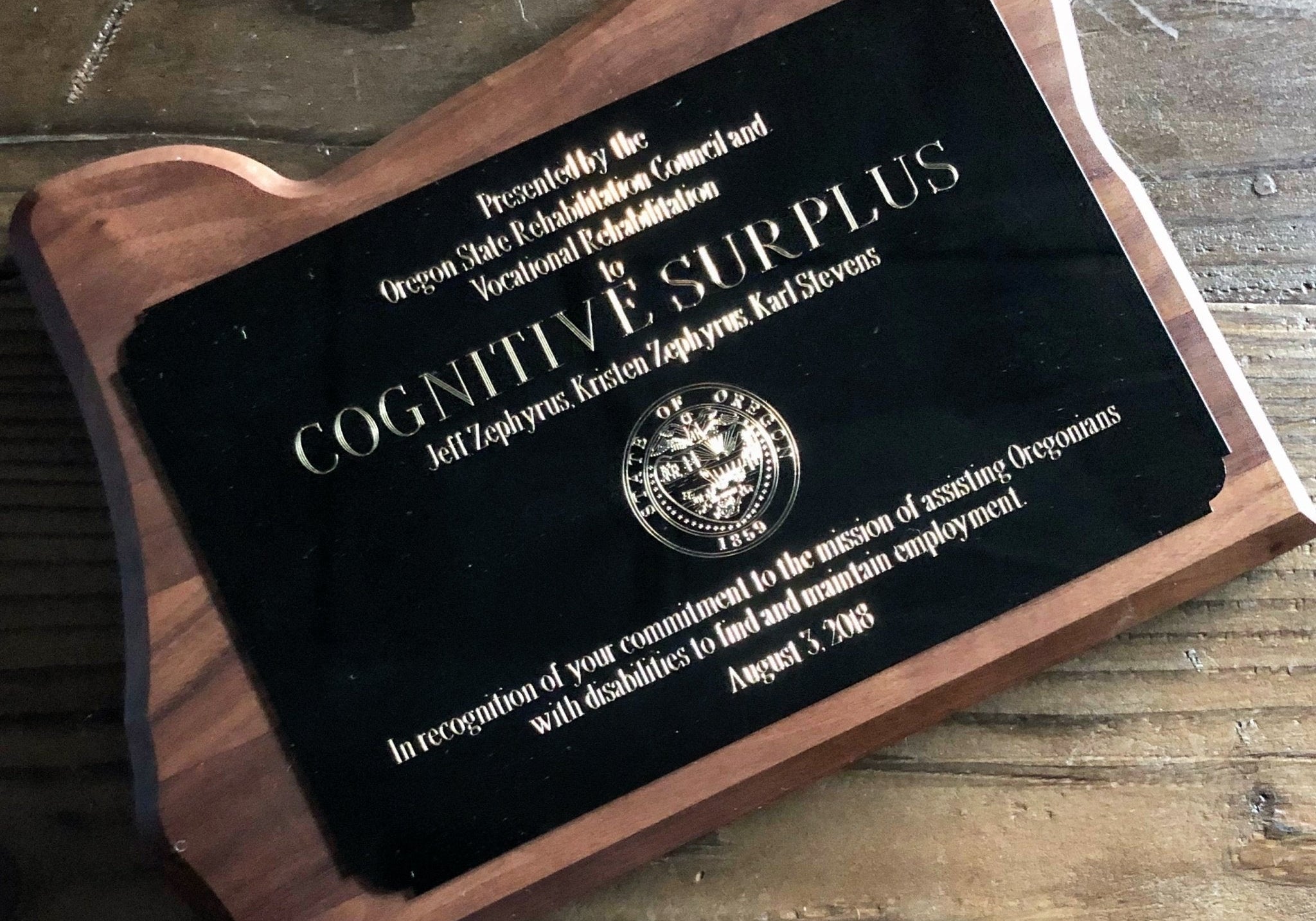 Employment Partner Award Cognitive Surplus