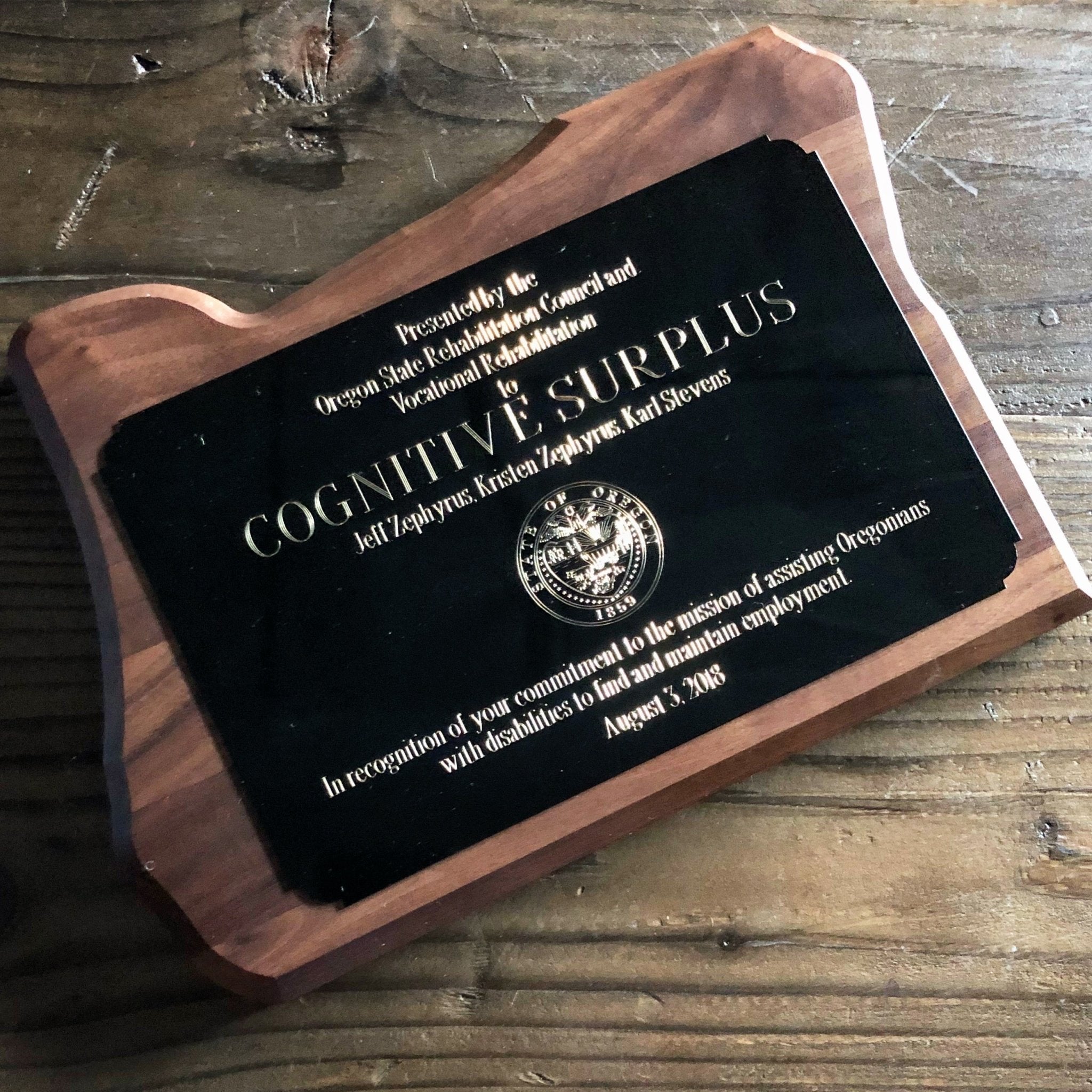 Employment Partner Award Cognitive Surplus