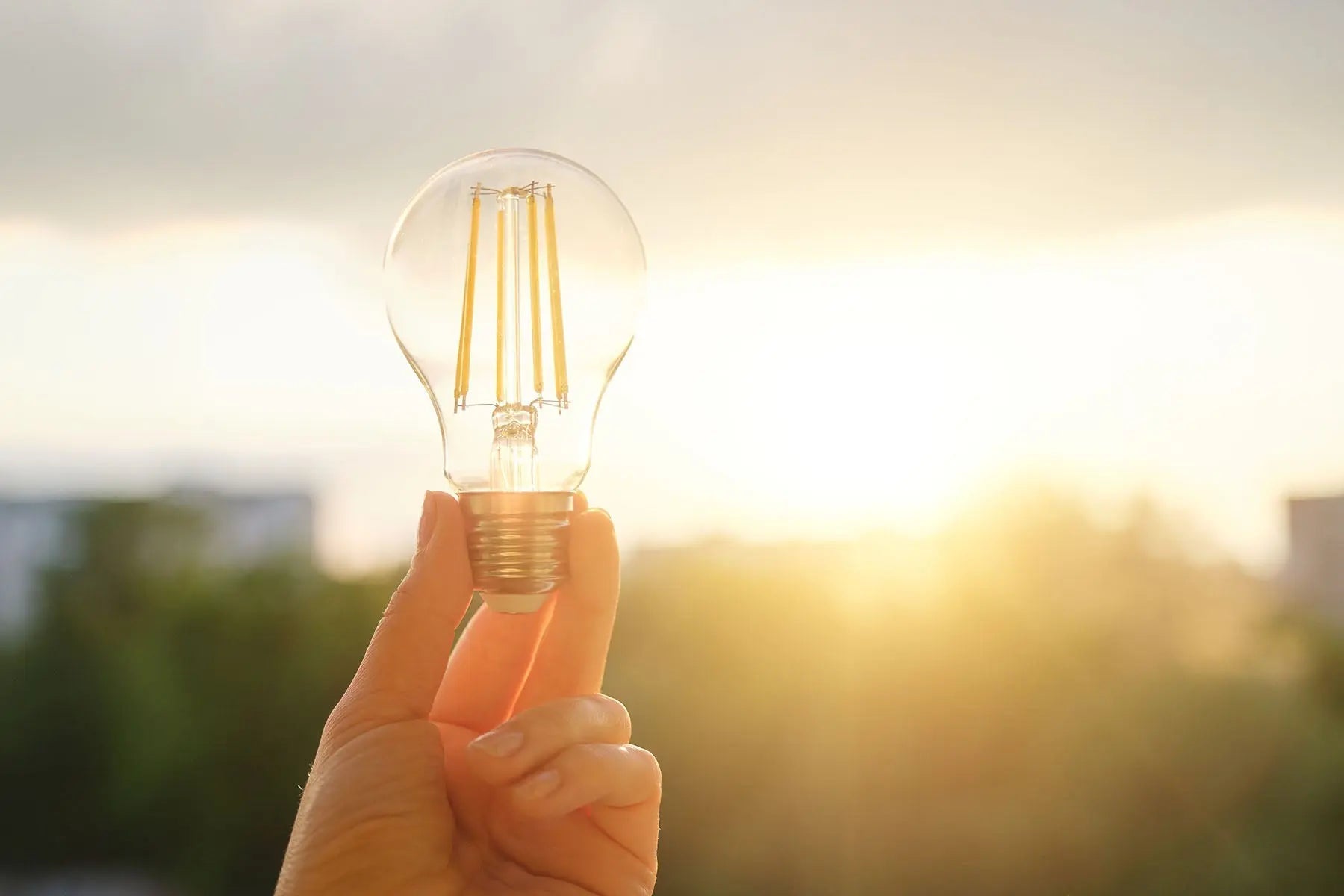LED Lighting Upgrades Cognitive Surplus