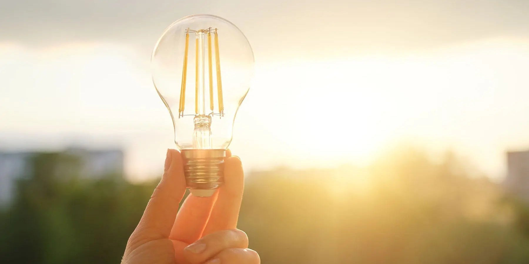 LED Lighting Upgrades Cognitive Surplus