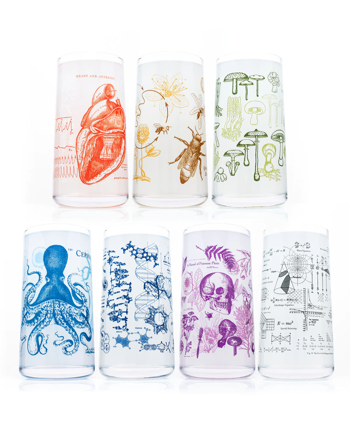 Vintage Science Drinking Glassware Set of 7
