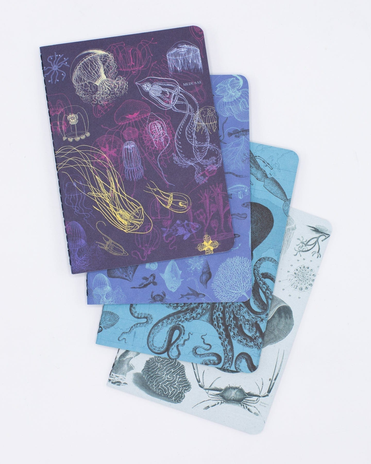 Coolest Gifts For Biologists