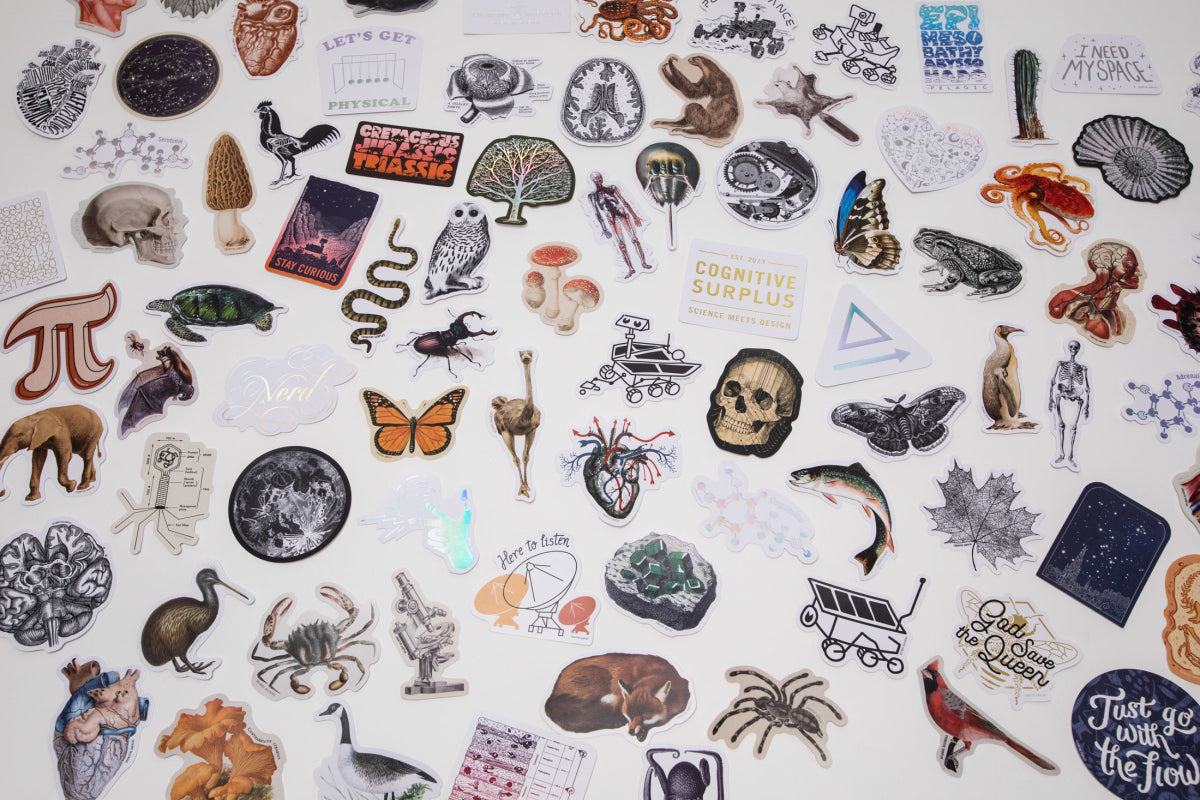 A collection of colorful stickers featuring animals, scientific illustrations, plants, skeletons, symbols, and various objects arranged on a white surface.