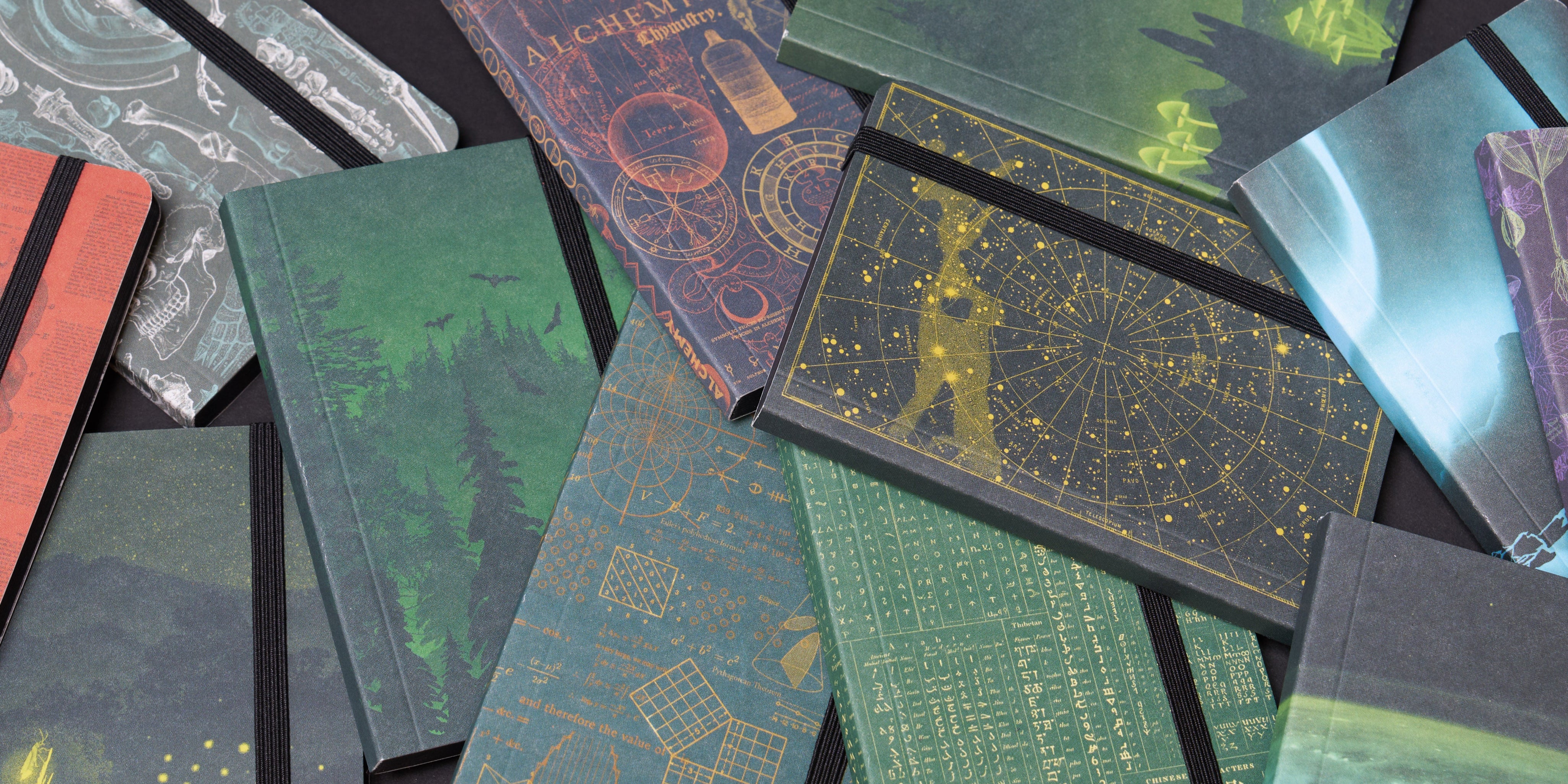 A collection of various hardcover journals with elastic closures, featuring designs such as anatomical hearts, skulls, star charts, forests, and mathematical equations.