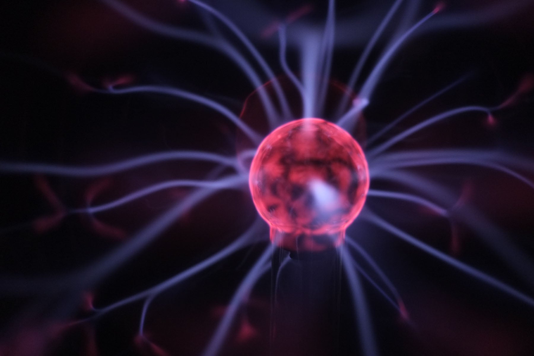 Physics Cognitive Surplus