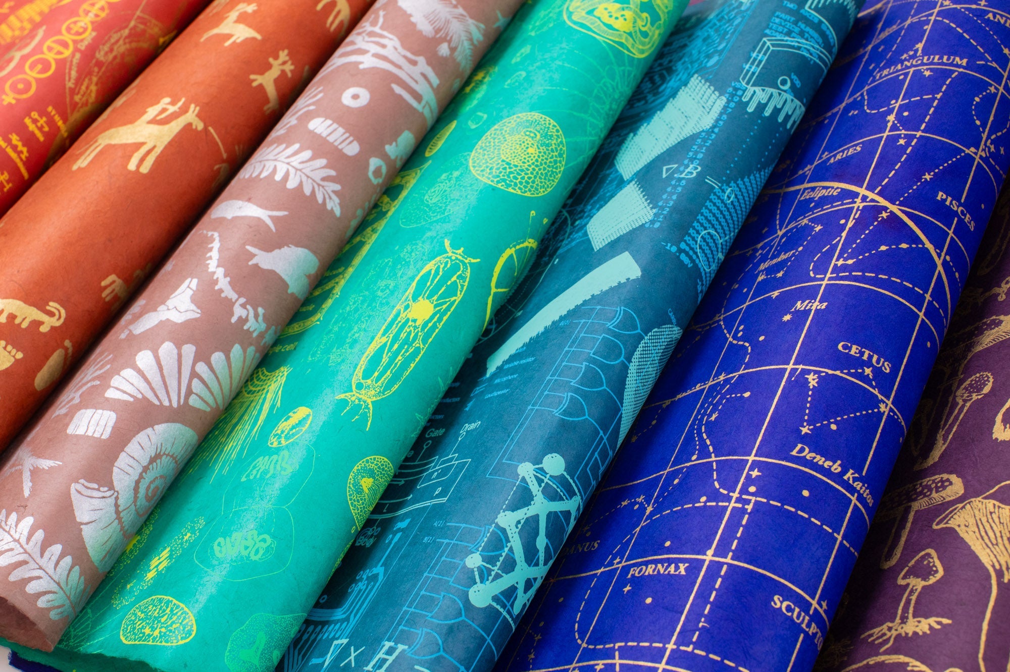 Six rolls of patterned paper in a gradient from red and orange to blue and purple, featuring illustrations of constellations, botanical specimens, and scientific diagrams.