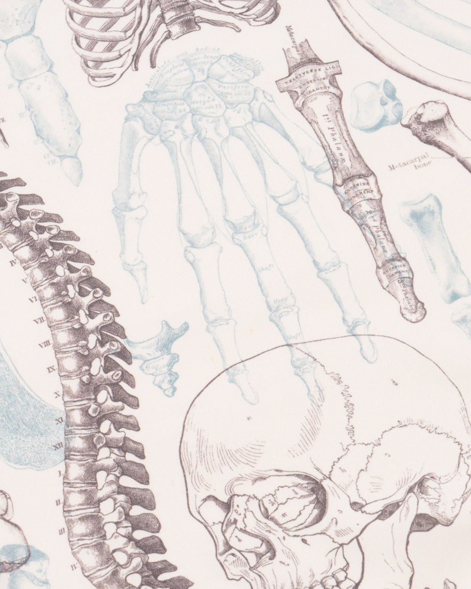 BnSkeleton_2.jpg