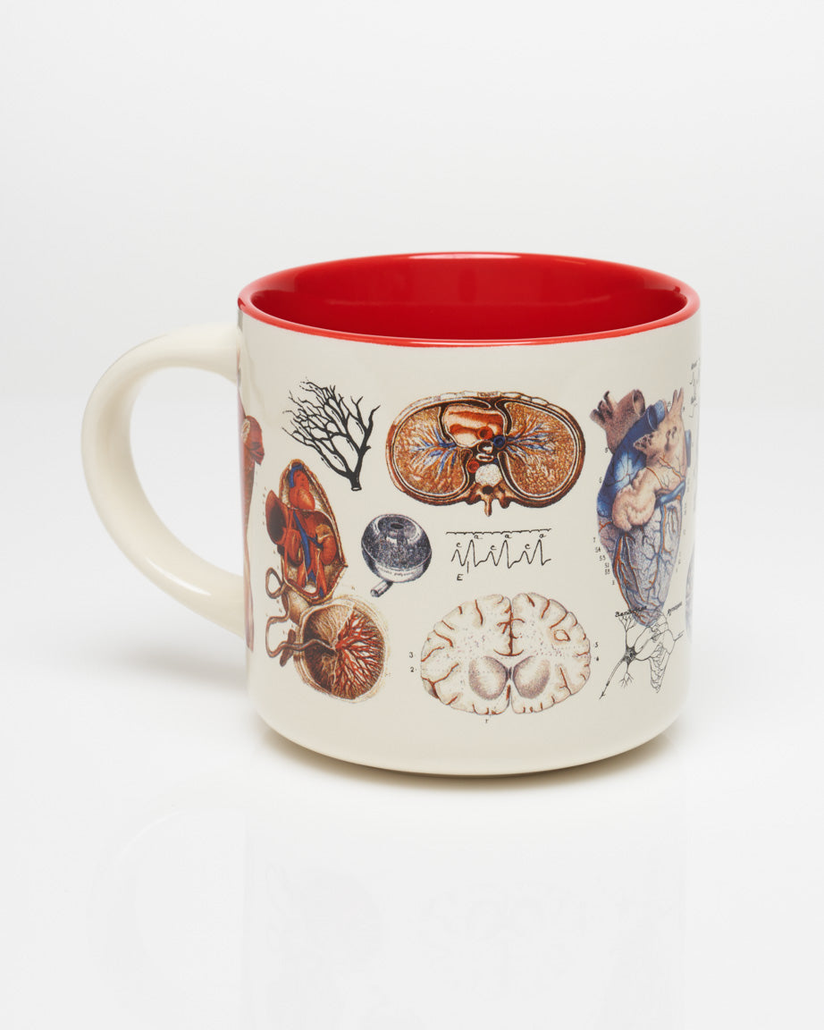 Vascular Anatomy 15 oz Ceramic Mug