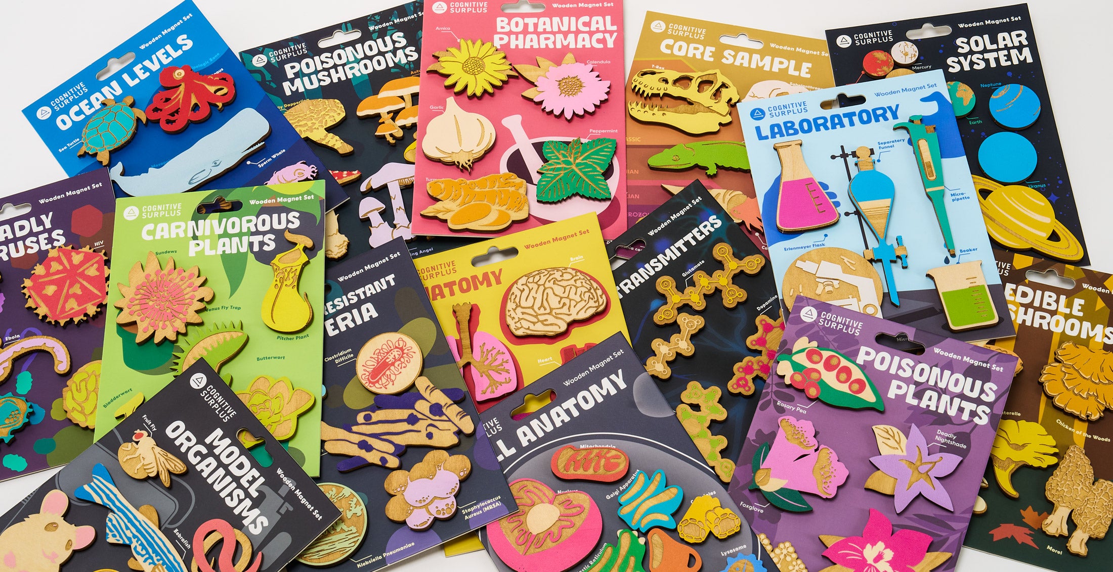 CognitiveSurplus_Magnet_Sets_430b364f-7648-4ac7-9ca5-e3ded0ddd9b0.jpg