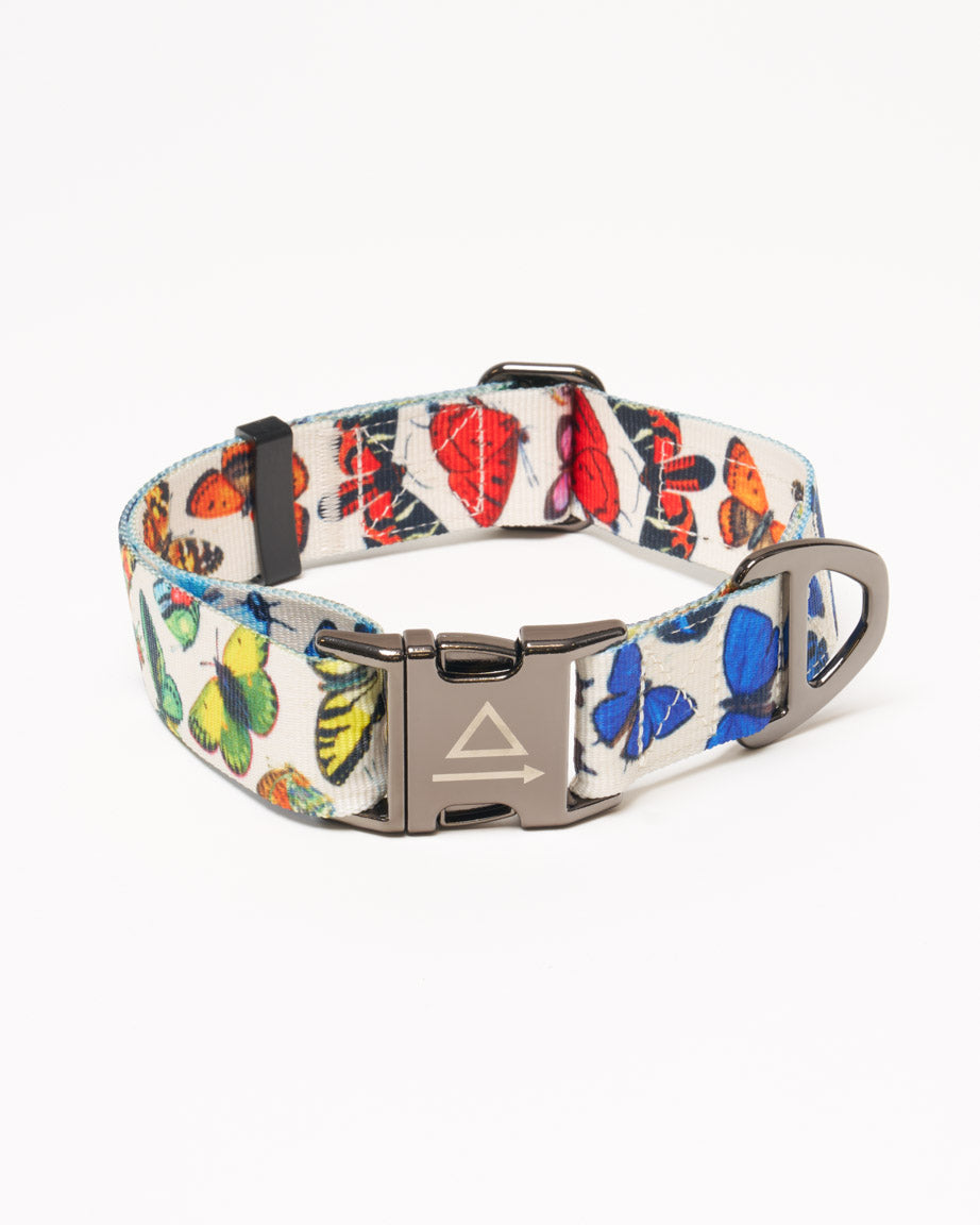 Butterfly Garden Eco Pet Collar