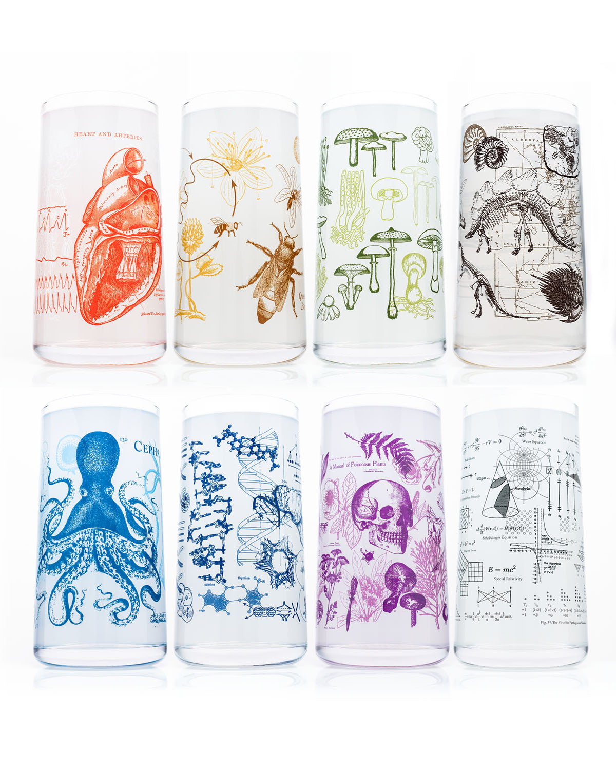 Vintage Science Drinking Glassware Set of 8