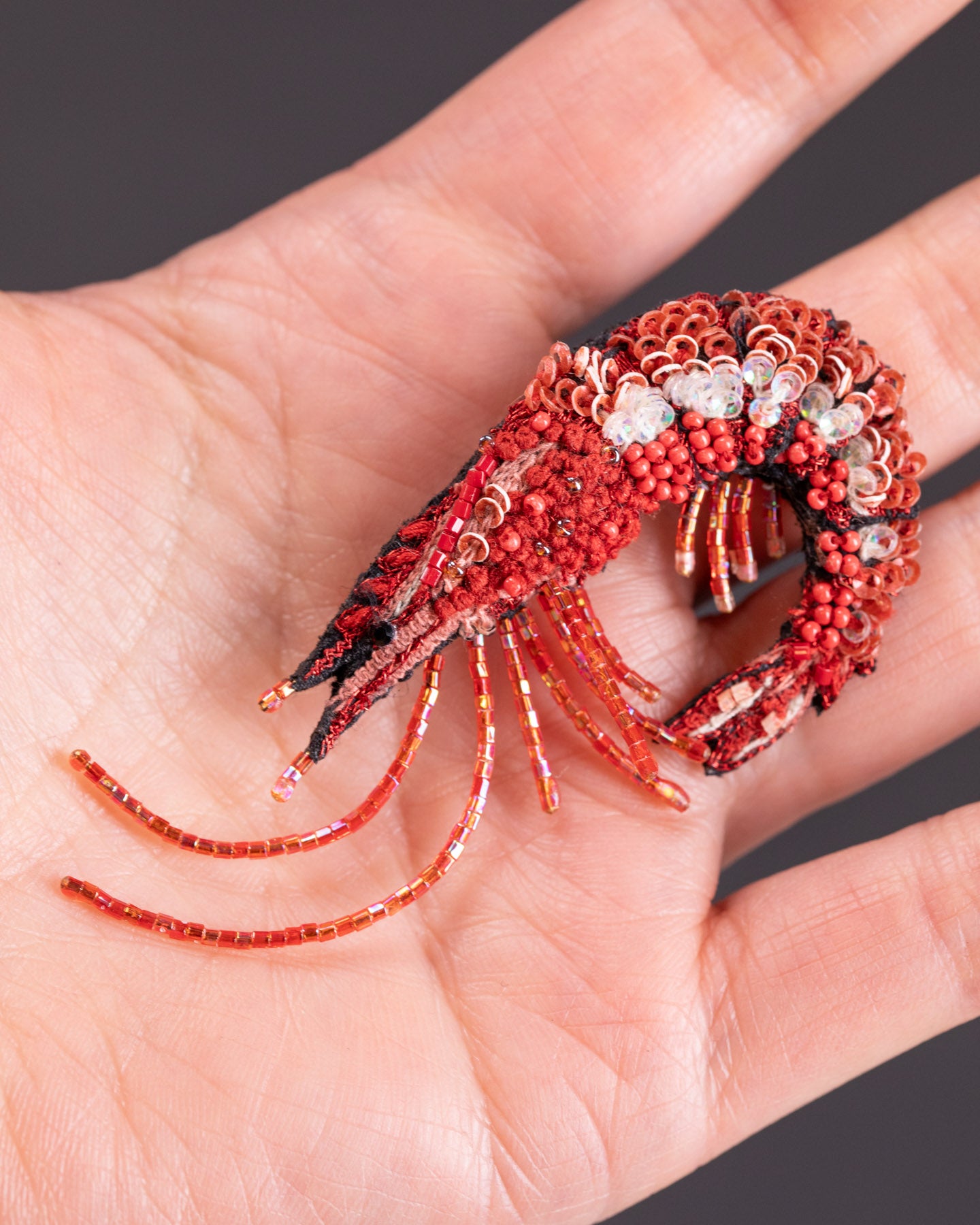 EXT-TL-B-557_Caridean_Shrimp_3.jpg