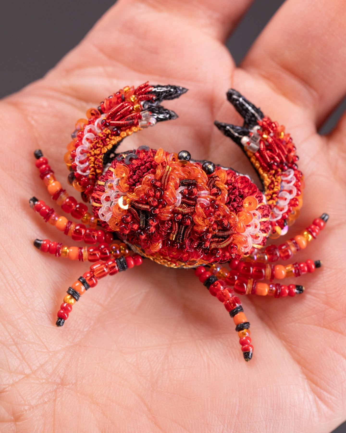 EXT-TL-B-793_Red_Rock_Crab_3.jpg