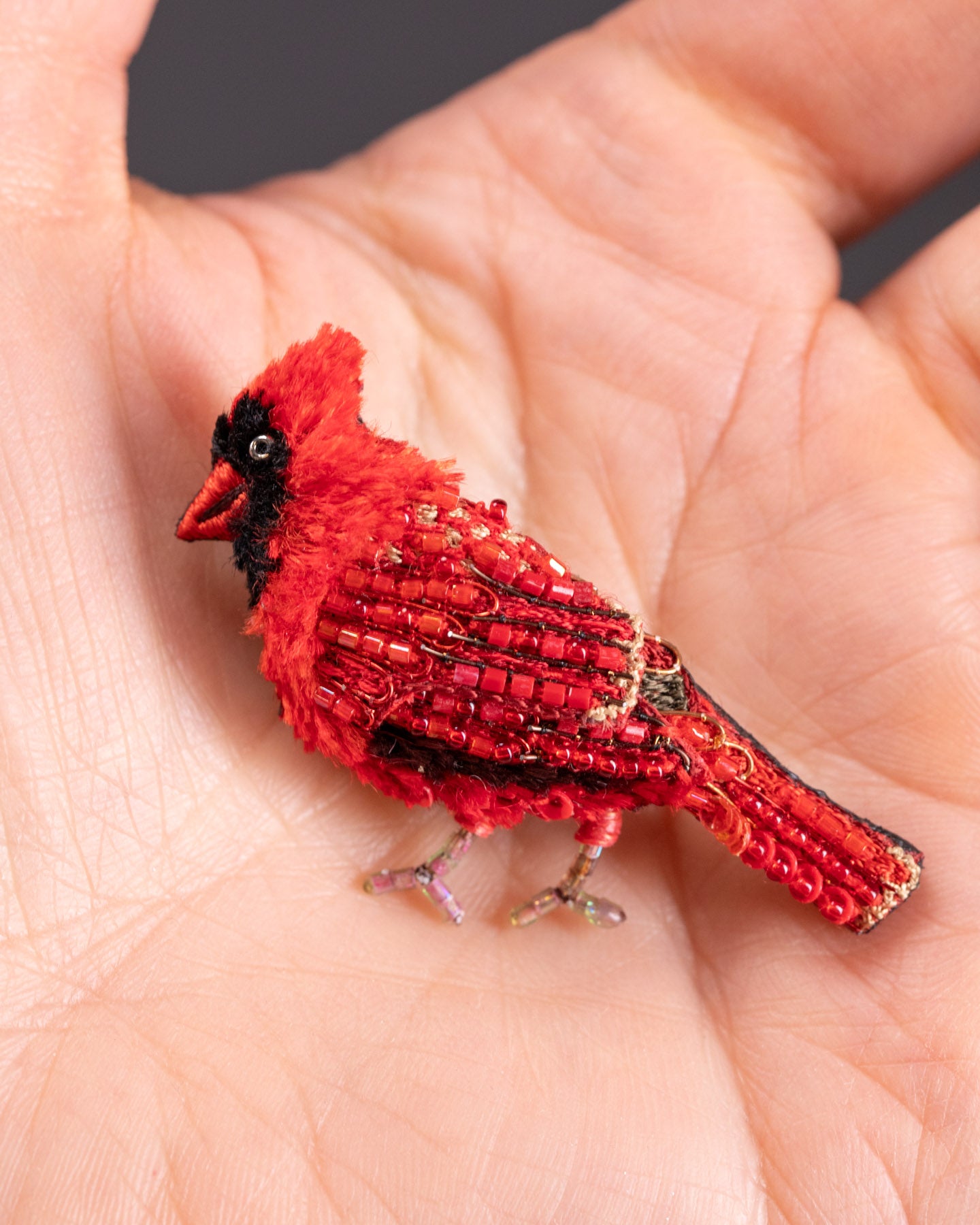 EXT-TL-B-928_Northern_Cardinal_3.jpg