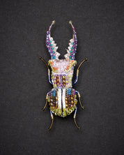 Stag Beetle Brooch Pin - Trovelore