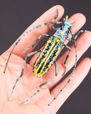 Longhorn Beetle Brooch Pin - Trovelore