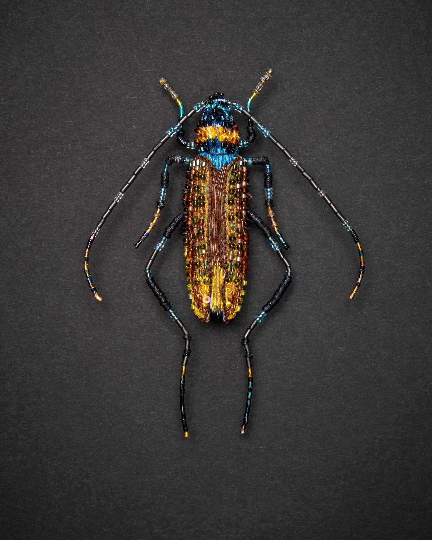 EXT-TL-B-972_Aphrodisium_Beetle_1.jpg
