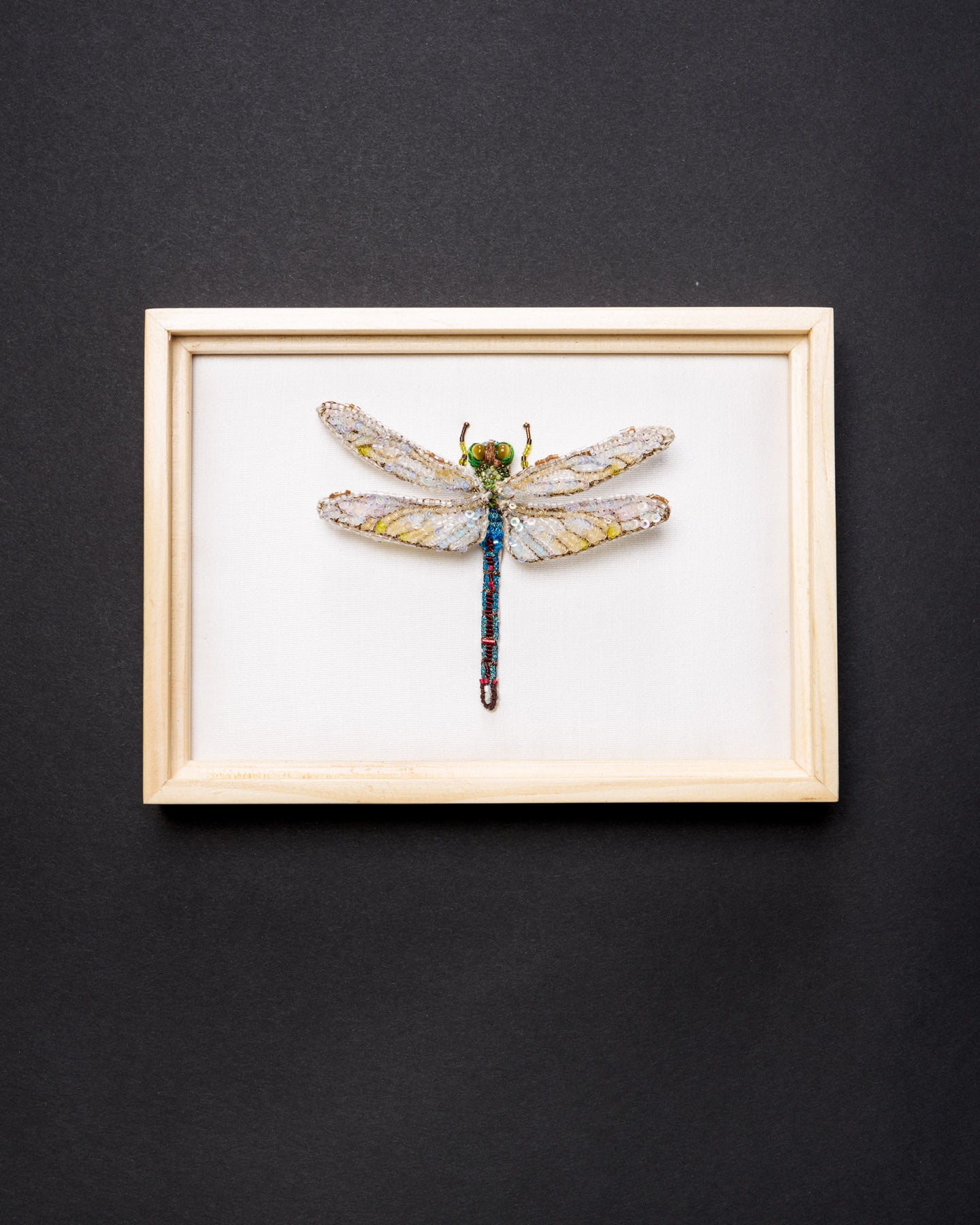 EXT-TL-BA-22N_Green_Darner_Dragonfly_1.jpg