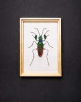 Iridescent Bark Mantis Beaded Framed Art - Trovelore