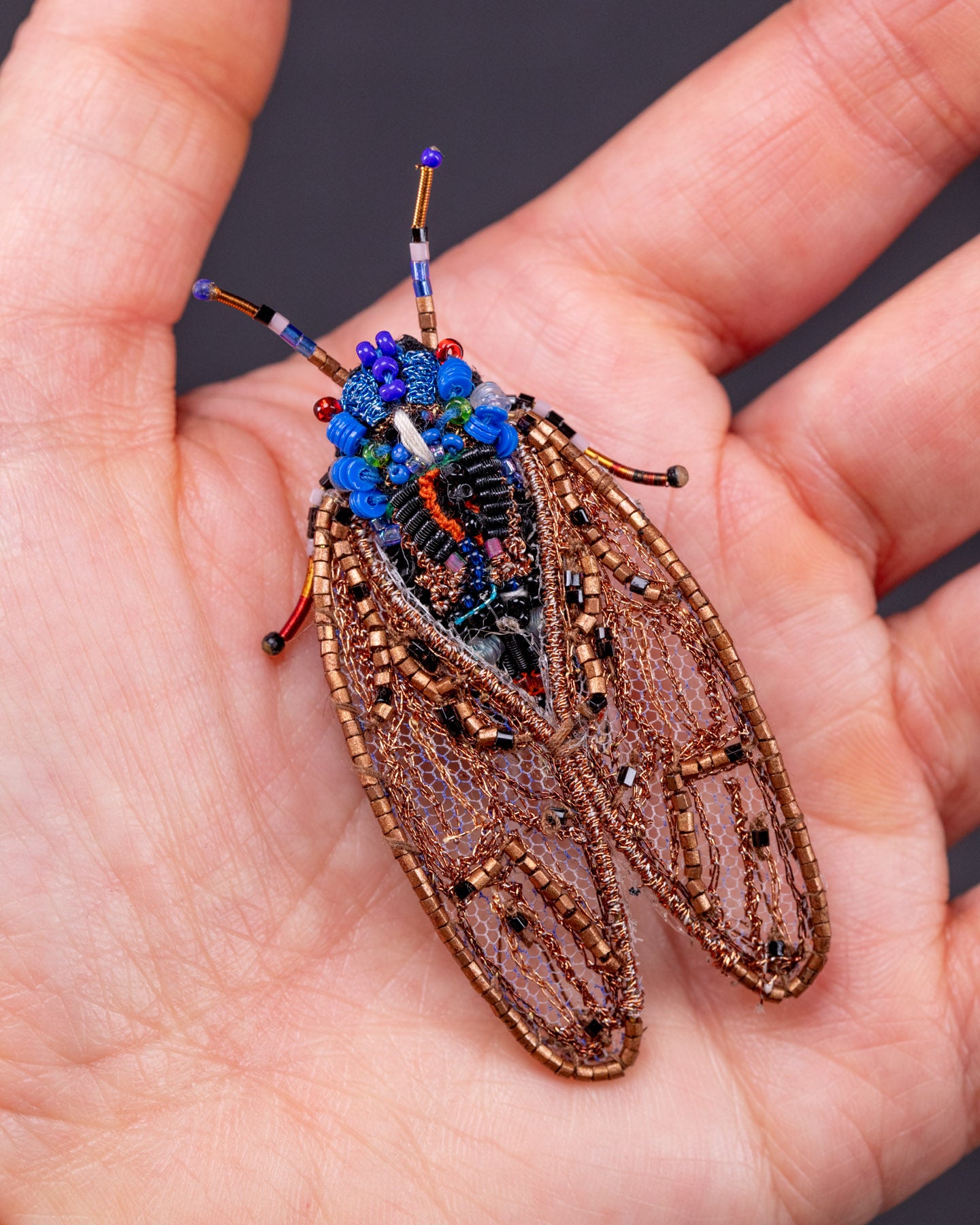 EXT_TL_B_634_Cicada_3.jpg