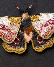 Mopane Emperor Moth Beaded Brooch Pin - Trovelore