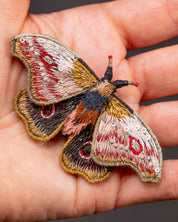 Mopane Emperor Moth Beaded Brooch Pin - Trovelore