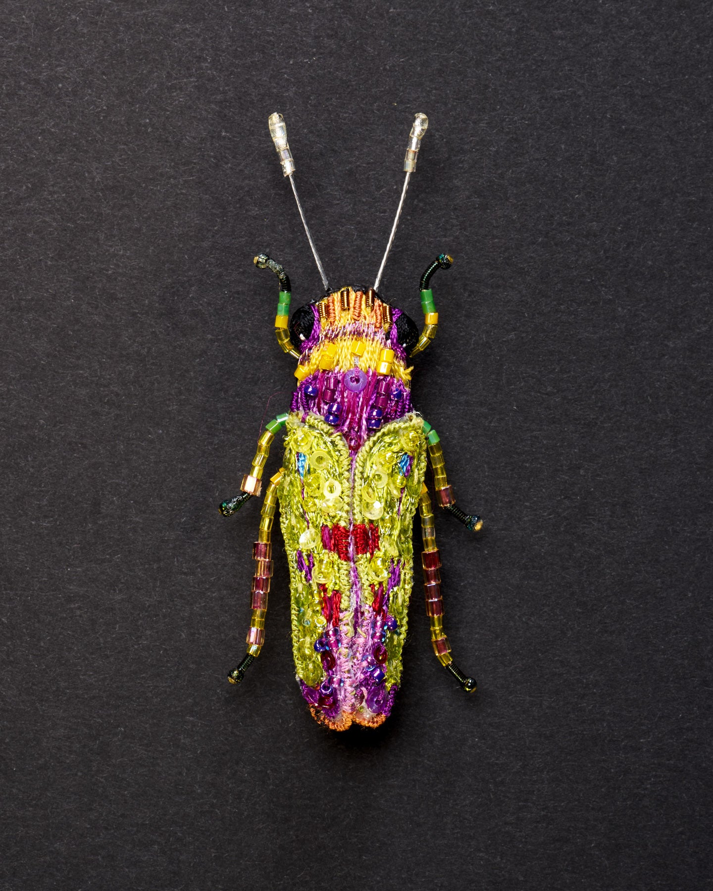 Sharpshooter Leafhopper Beaded Brooch Pin - Trovelore