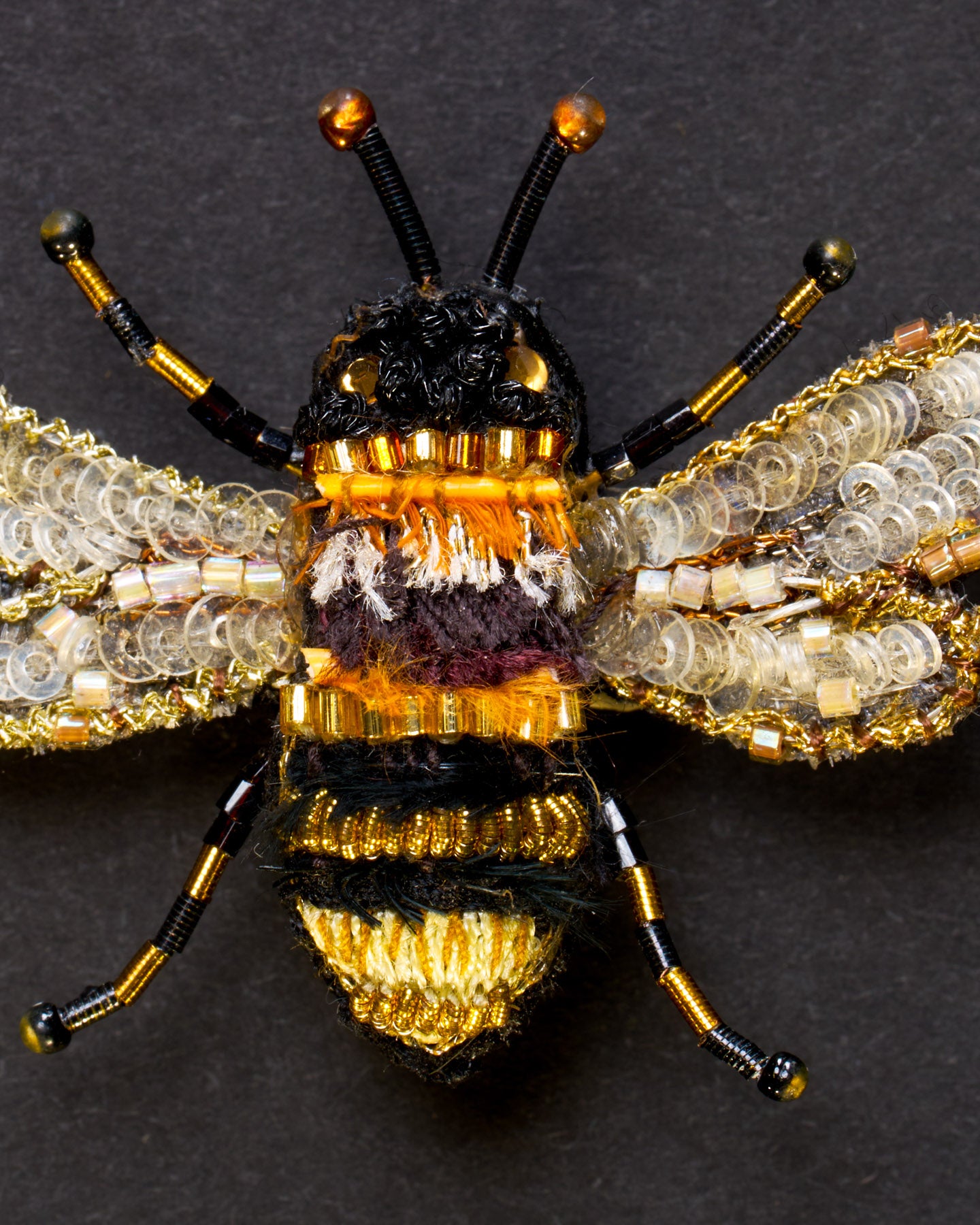 EXT_TL_B_759_Bumble_2.jpg