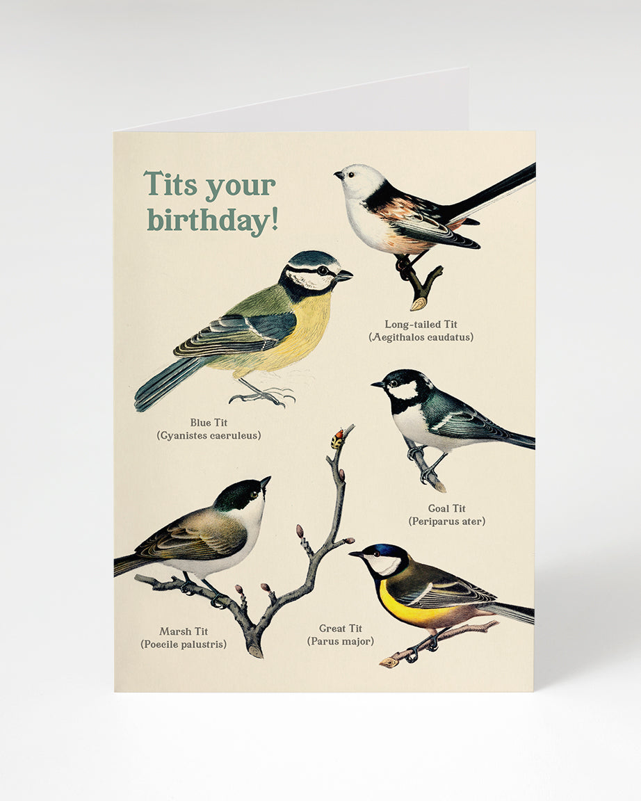 GCBirthdayTitsSKU_web.jpg