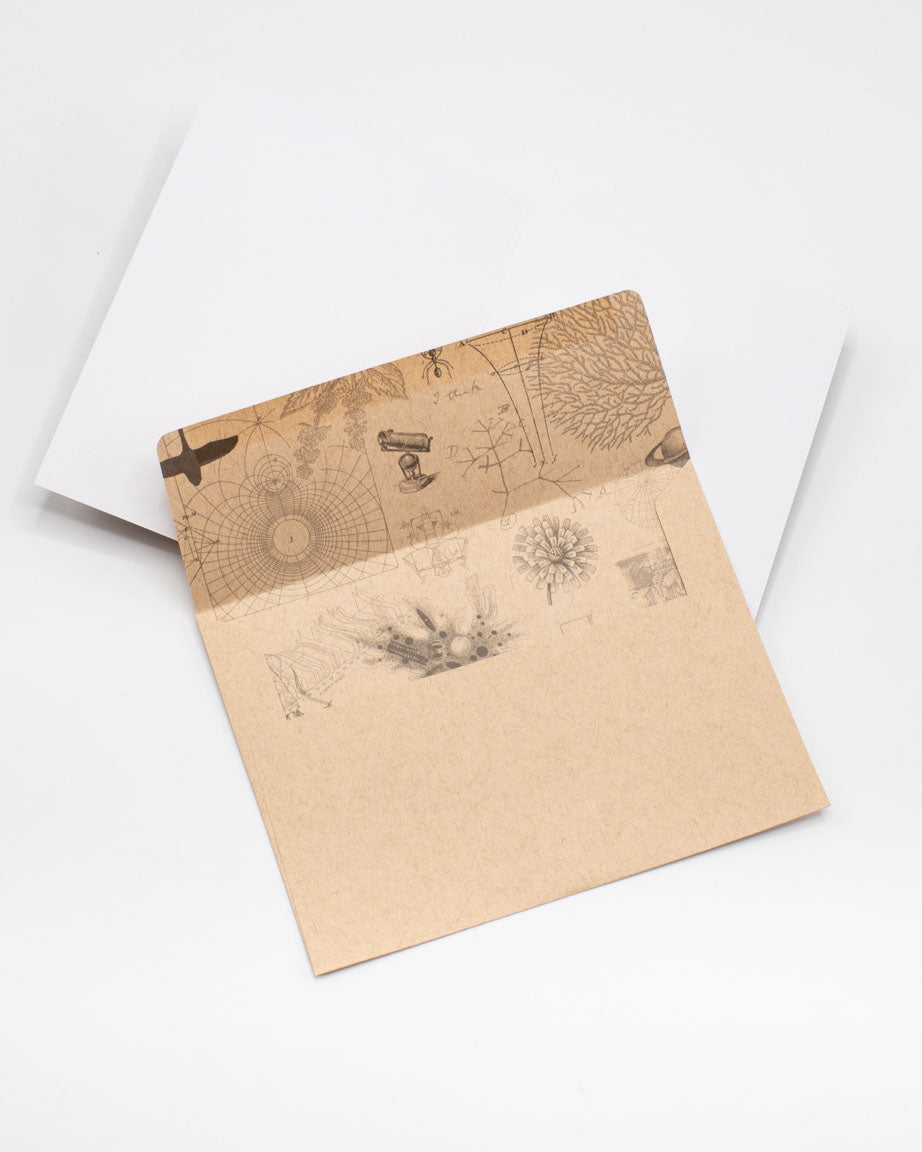 Gc_Envelope_2d9bb07d-76af-4f26-807e-5676d35a4535.jpg
