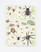 Spiders Hardcover Notebook - Lined/Grid