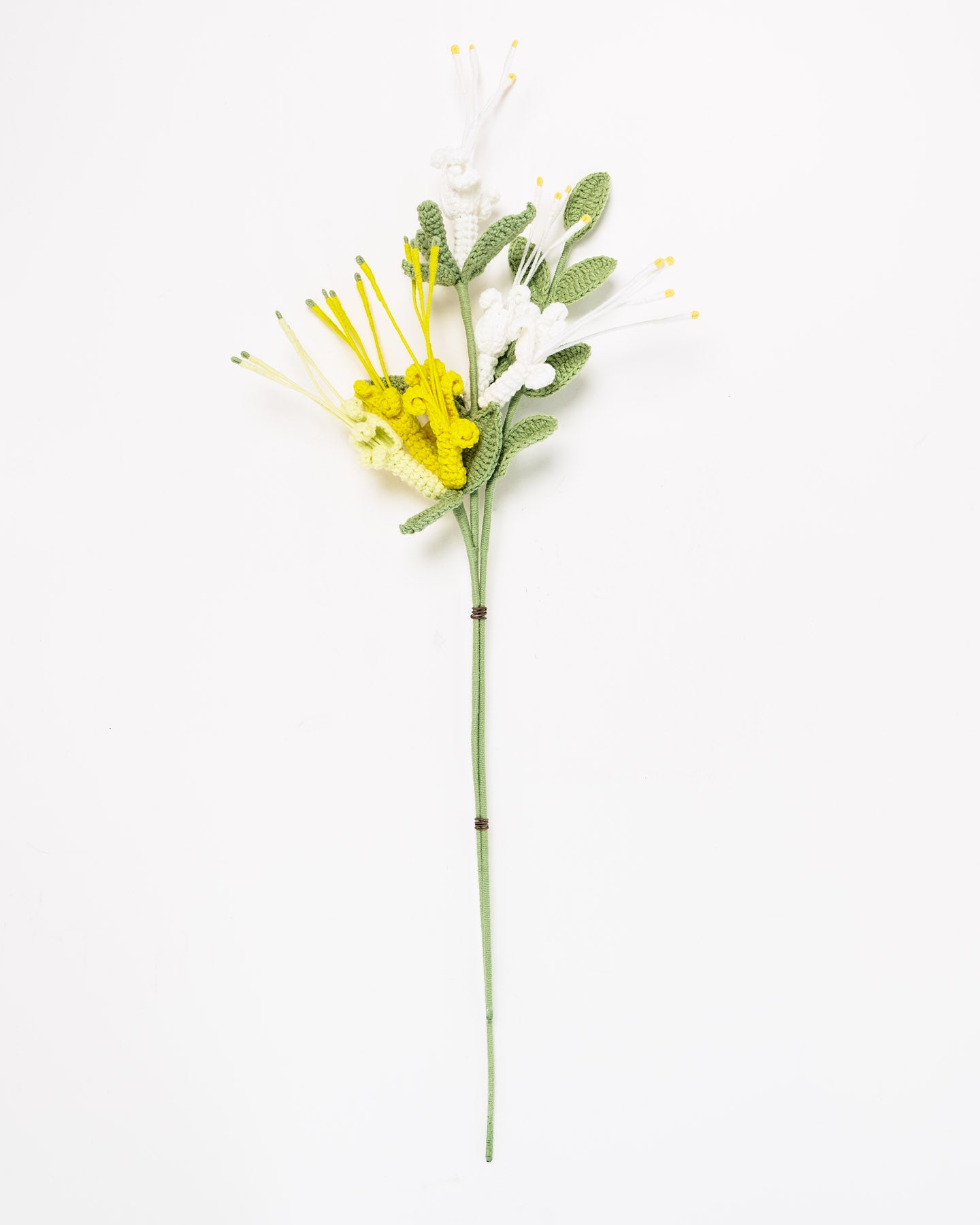 Honeysuckle.jpg