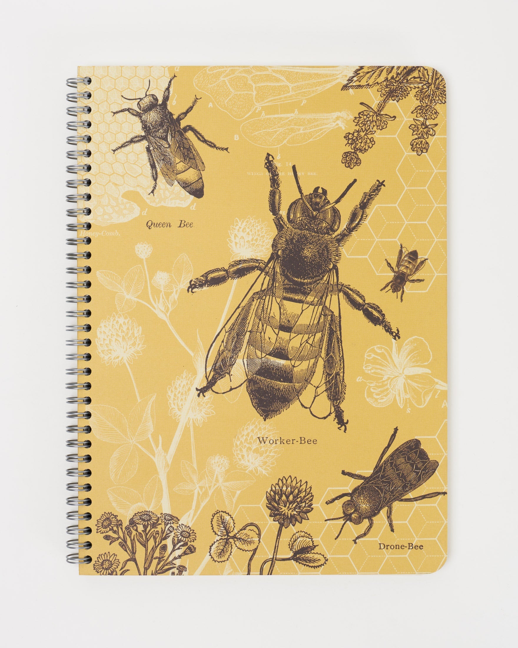Hx4Bee_1_533274cc-45fb-4cc2-b1d7-edab96065e20.jpg