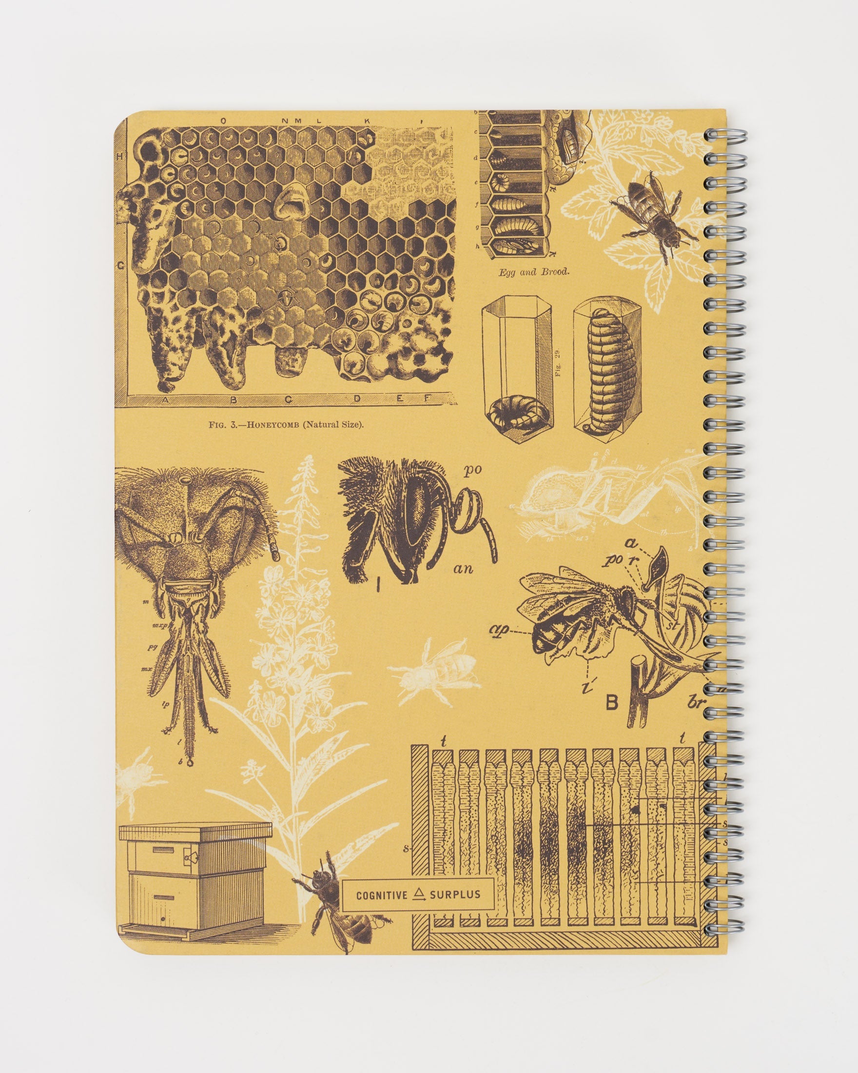 SECONDS: Honey Bee Spiral Notebook A4 (8.3" x 11.7")