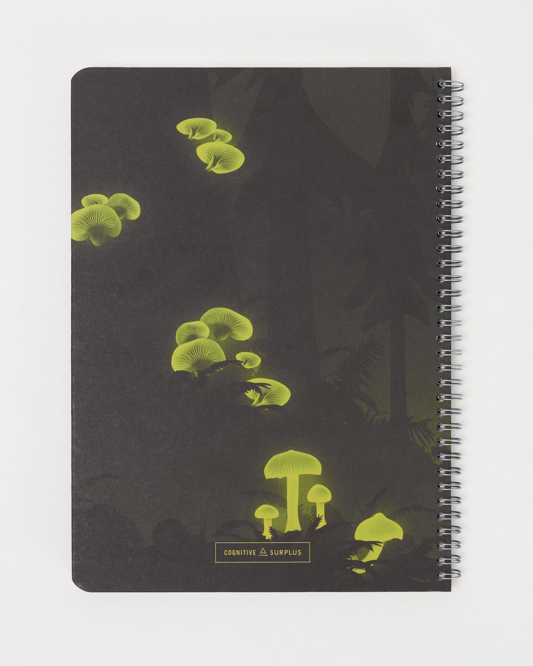Hx4BioFungi_2_cd946853-38ed-4d71-9cd0-1745a3165e99.jpg