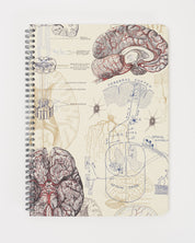 SECONDS: Brain & Neuroscience Spiral Notebook A4 (8.3" x 11.7")