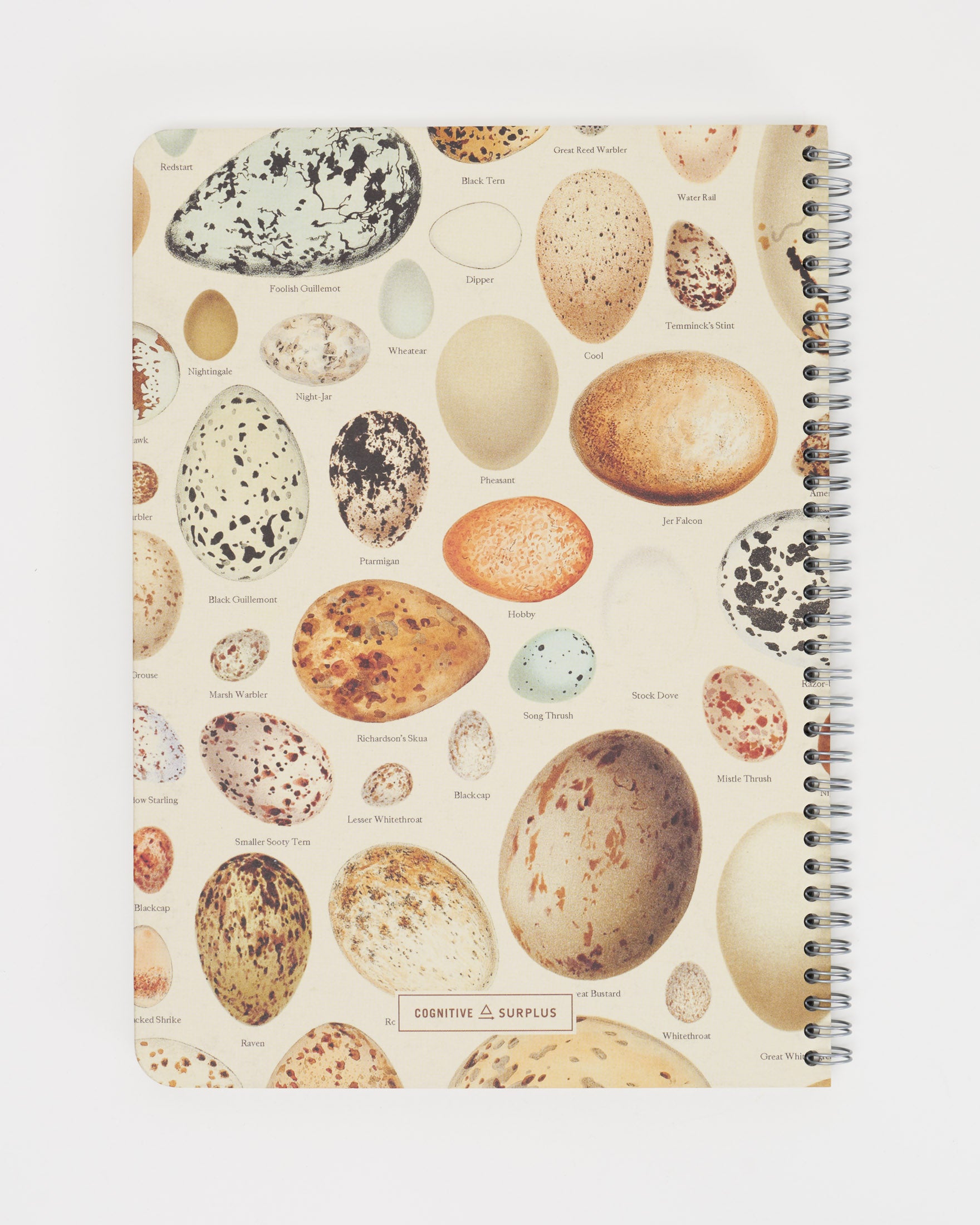 Bird Eggs Spiral Notebook - Lined