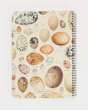SECONDS: Bird Eggs Spiral Notebook A4 (8.3" x 11.7")