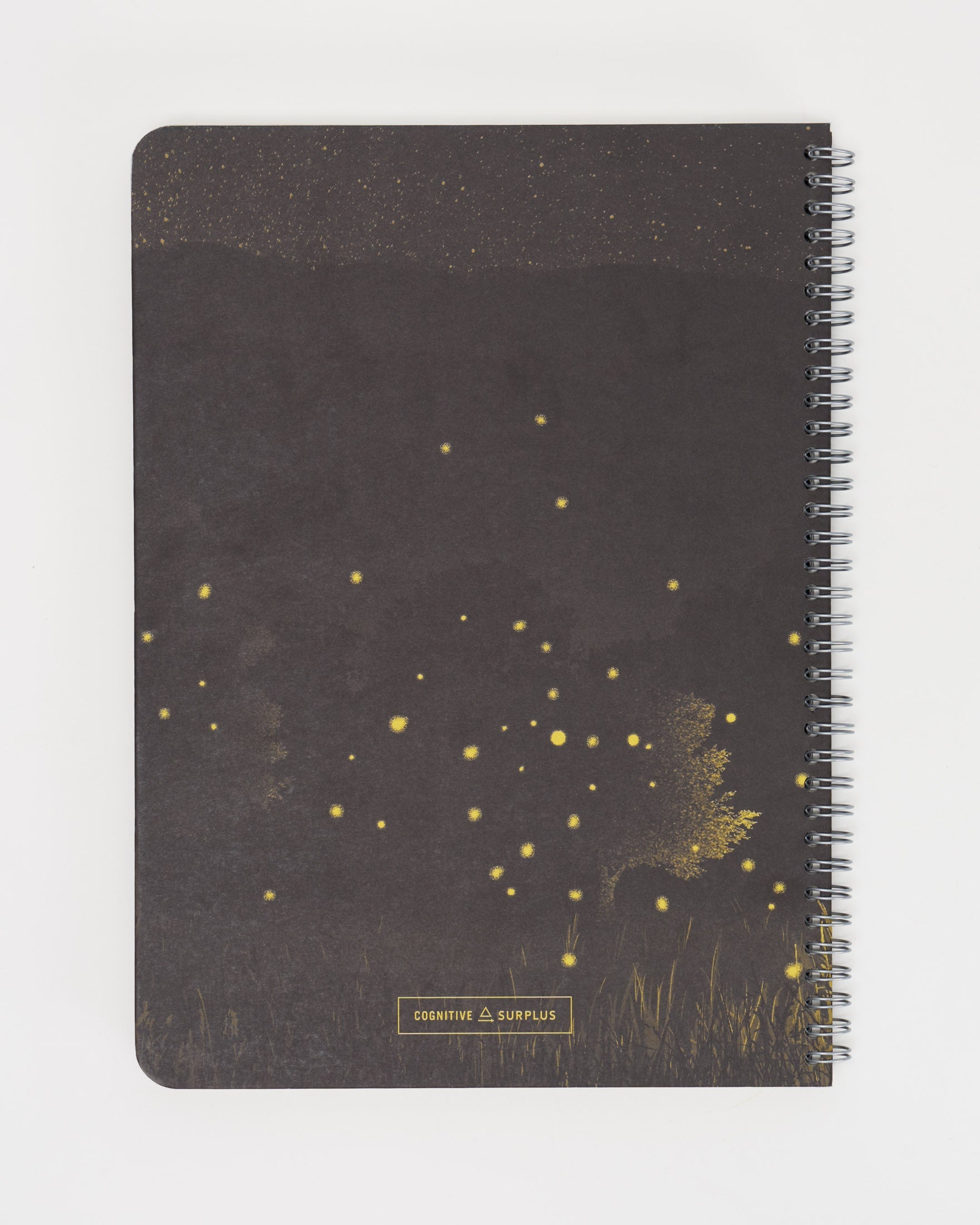 Hx4Firefly_2_d933b0be-7214-4fc6-9020-9e531904e53d.jpg
