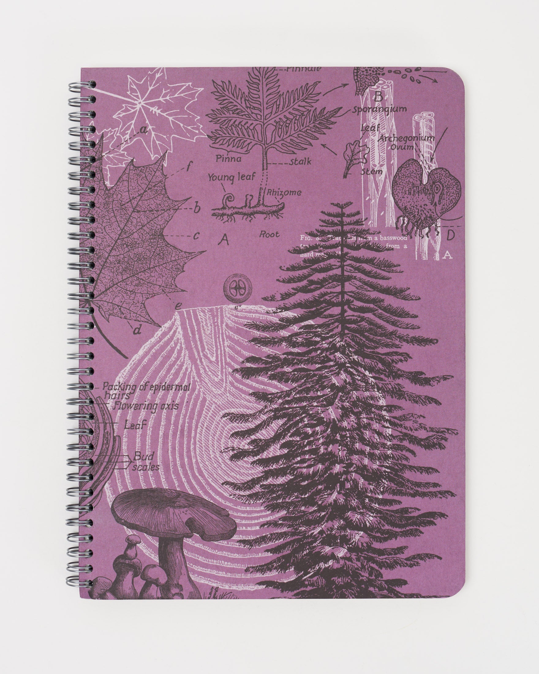 Seconds: Forest at Dusk Spiral Notebook