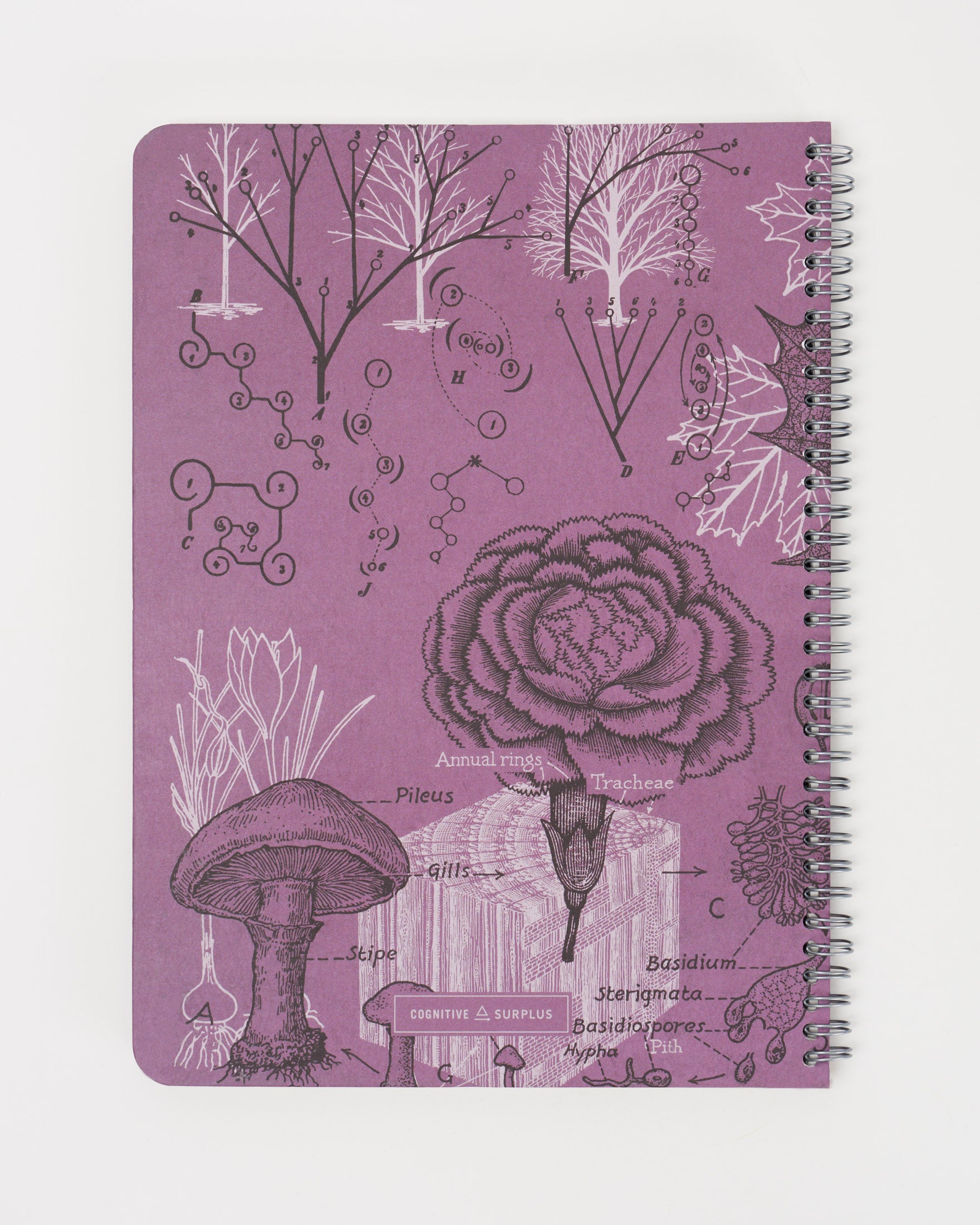 Seconds: Forest at Dusk Spiral Notebook