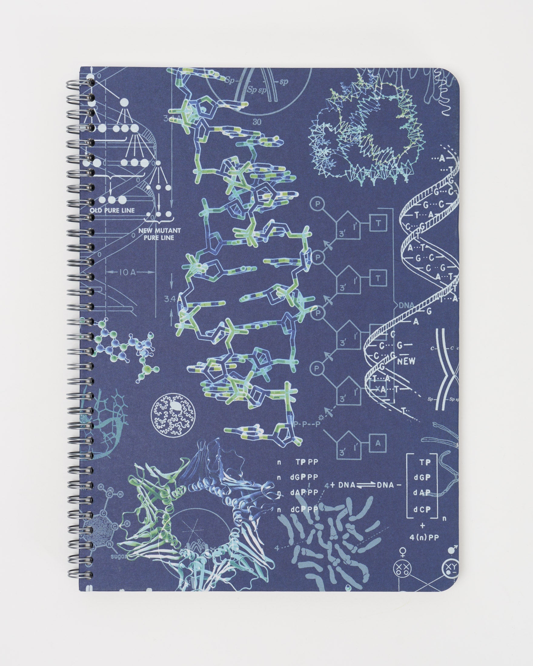 SECONDS: Genetics & DNA Spiral Notebook A4 (8.3" x 11.7")