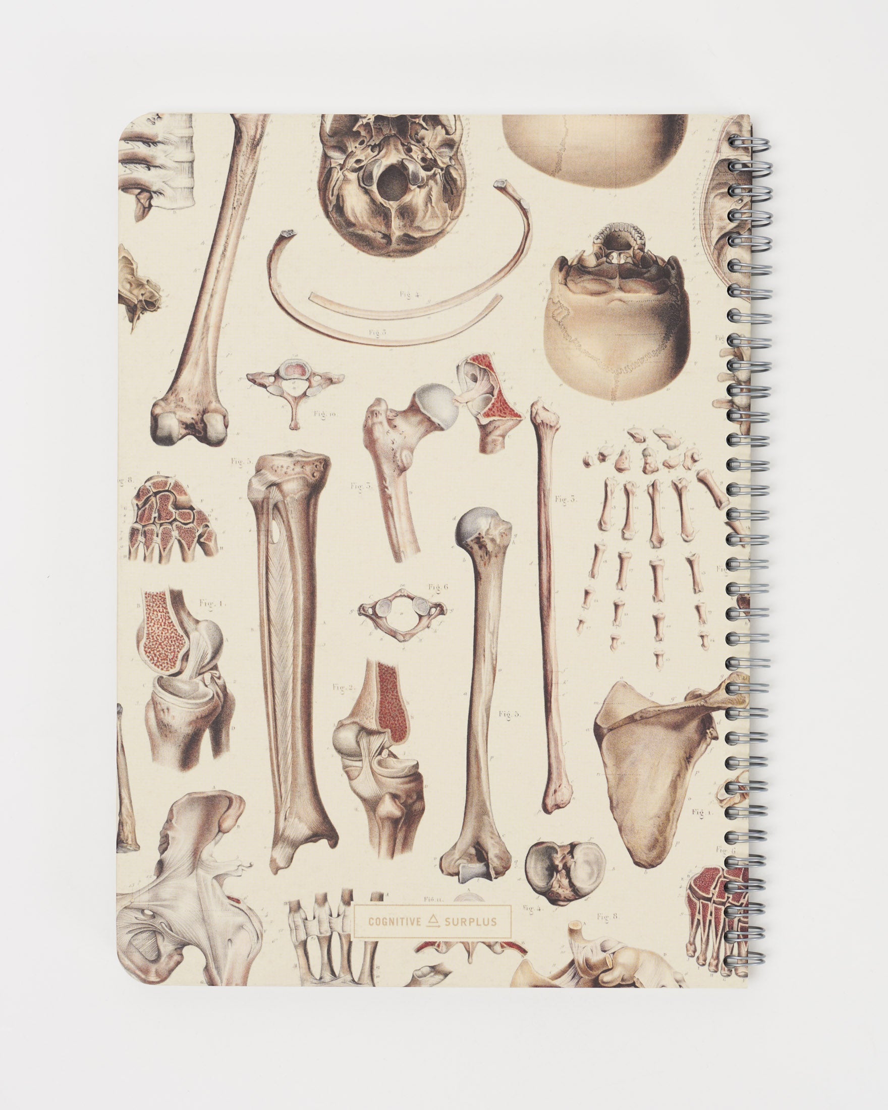 SECONDS: Skeleton Spiral Notebook A4 (8.3" x 11.7")