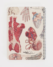 SECONDS: Human Anatomy Spiral Notebook A4 (8.3" x 11.7")