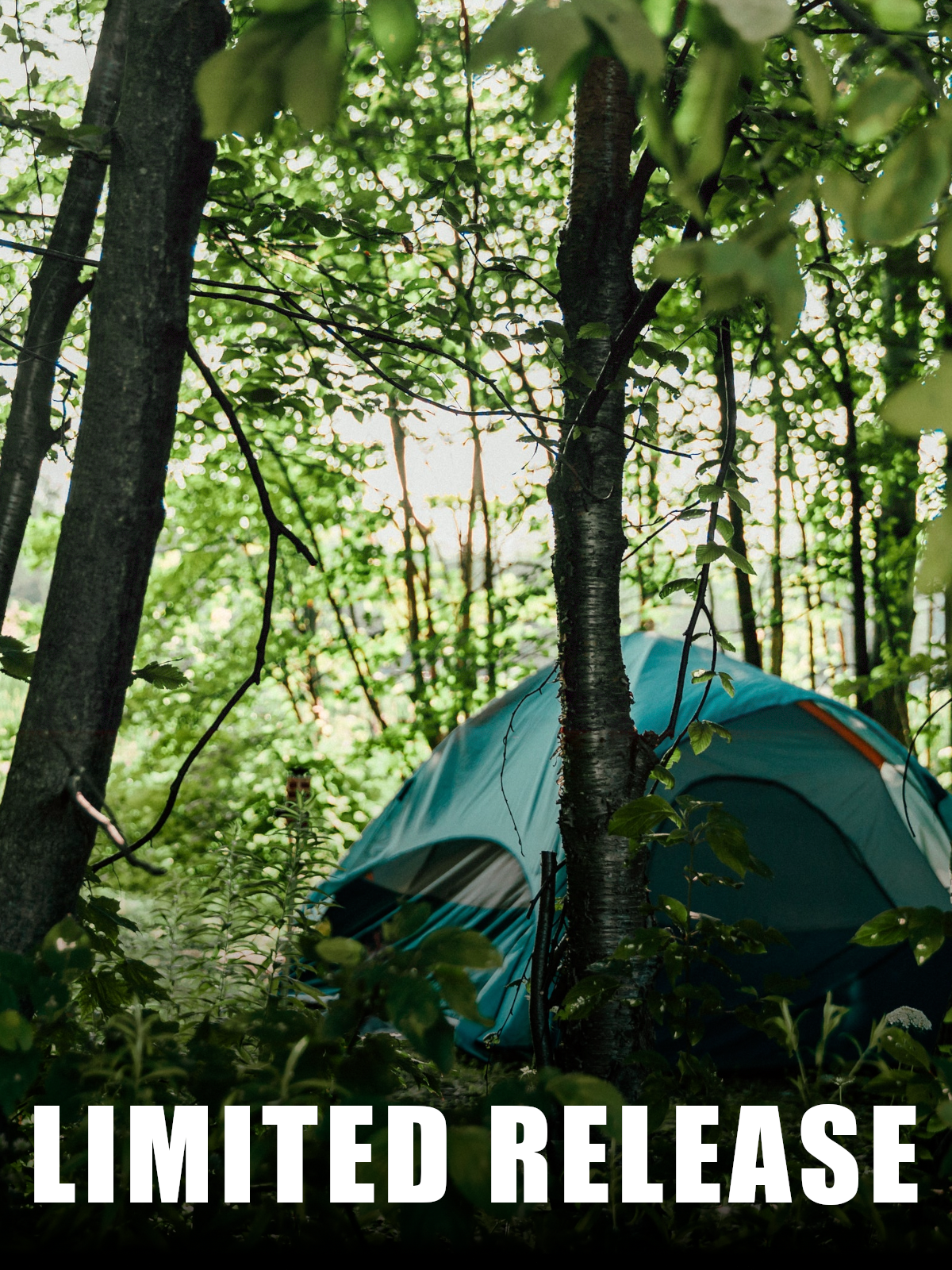 Camping in the Woods Limited Edition Mystery Field Box