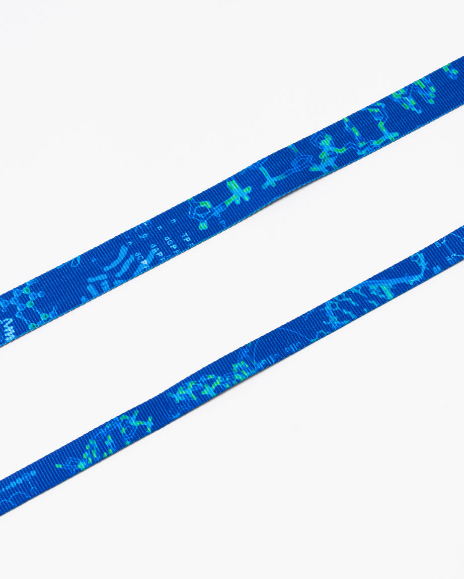 LhDNA_4.jpg