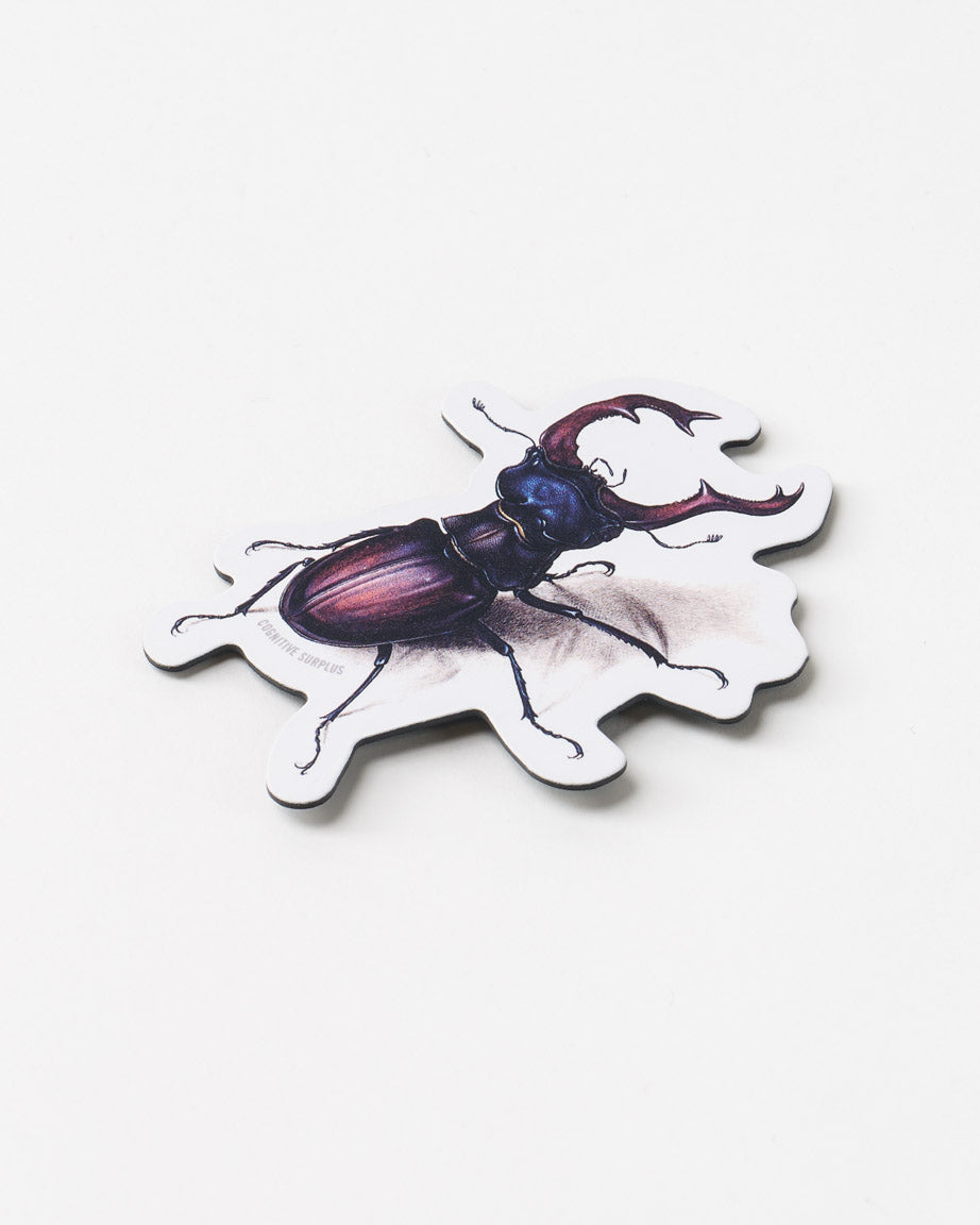 MnBeetle_01.jpg