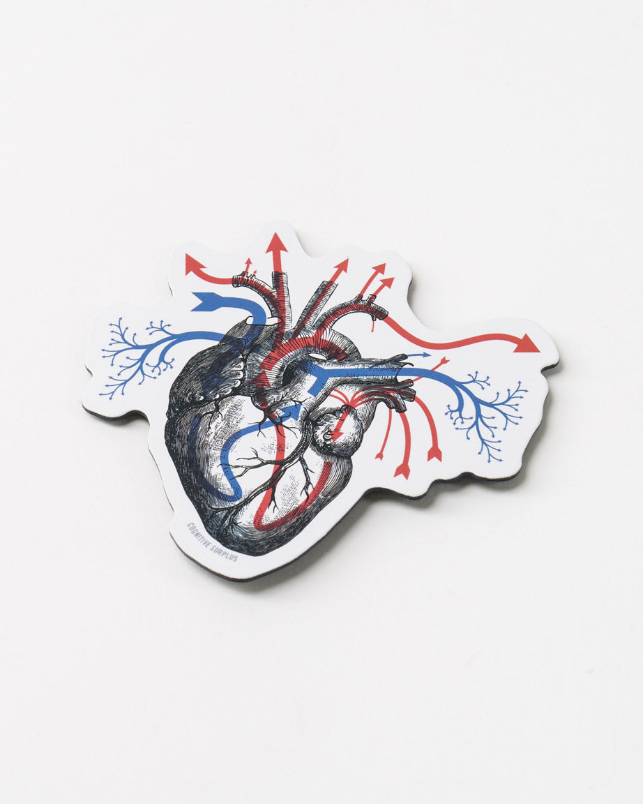 Heart Blood Flow Magnet